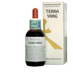 TERRA YANG 50ML