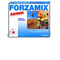 FORZAMIX J 12F 120ML