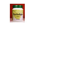 PHYTOMUCILLAGINE POLVERE 180G