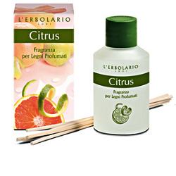 CITRUS FRAGRANZA LEGNI PROF125