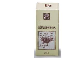 FUCUS ESTRATTO ANALCOLICO 50ML