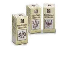 NEPETA CATARIA EANALCO 50ML