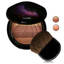 SHISEIDO STM MULTI-SHADE SG