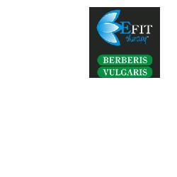 BERBERIS VUL EF TIT 98% 500G