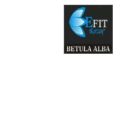 BETULA ALBA EF 30ML