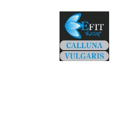 CALLUNA VULGARIS EF 30ML