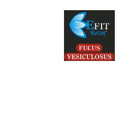 FUCUS VESICULOSUS EF 30ML