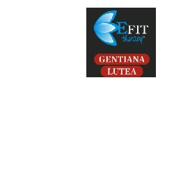 GENTIANA LUTEA EF 30ML