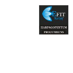 HARPAGOPHYTUM PRO EF 30ML