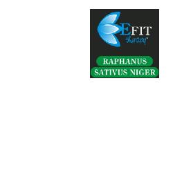 RAPHANUS SATIVUS NIGER EF 30ML