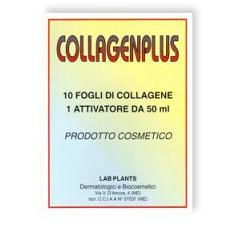 COLLAGENPLUS FGL 6PZ+SOL 50ML