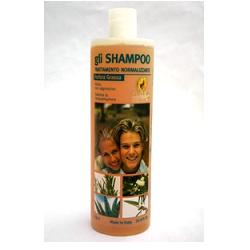 SHAMPOO NORM ANTIFORF GRAS 1LT