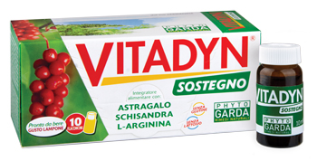 VITADYN SOSTEGNO 10FL 10ML