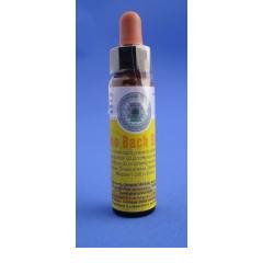 CROMO BACH STRESS GTT 10ML