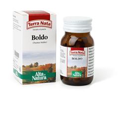 BOLDO 100TAV 400MG