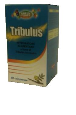 TRIBULUS AMI 90CPR