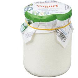 YOGURT INTERO NATURALE500G