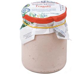 YOGURT MAGRO FRA C/PROB 500G