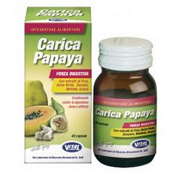 CARICA PAPAYA DIGEST 48CPS