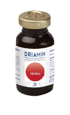 DRIAMIN FERRO 10FL 15ML