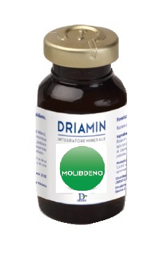 DRIAMIN MOLIBDENO 10FL 15ML