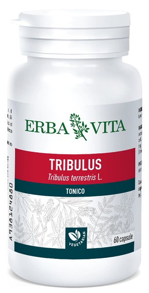 TRIBULUS TER 60CPS 500MG