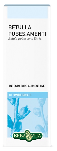 GEMMODERIVATO BETULLA PUB 50ML GEMMODERIVATO BETULLA PUB 50ML