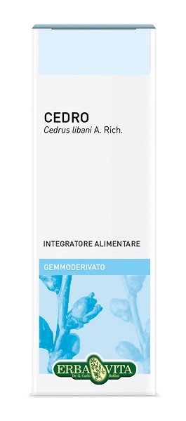 GEMMODERIVATO CEDRO 50ML