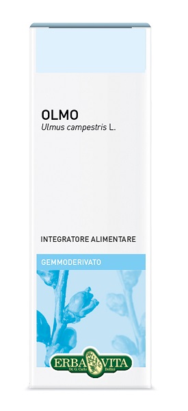 GEMMODERIVATO OLMO 50ML