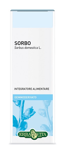 GEMMODERIVATO SORBO 50ML