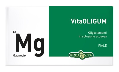 VITAOLIGUM MAGNESIO 20F