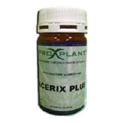 ACERIX PLUS 60CPS 400MG