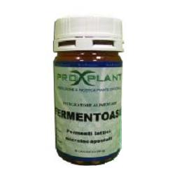 FERMENTOASIX 60CPSX400MG