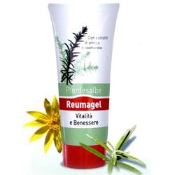 RECOVER GEL PFERDESALBE 200ML