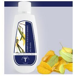 SHAMPOO SEBOEQUIL BETULLA 250M