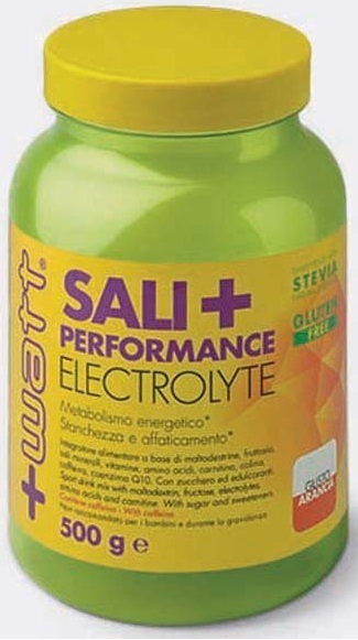 SALI+ PERFORMANCE LIMONE 500G