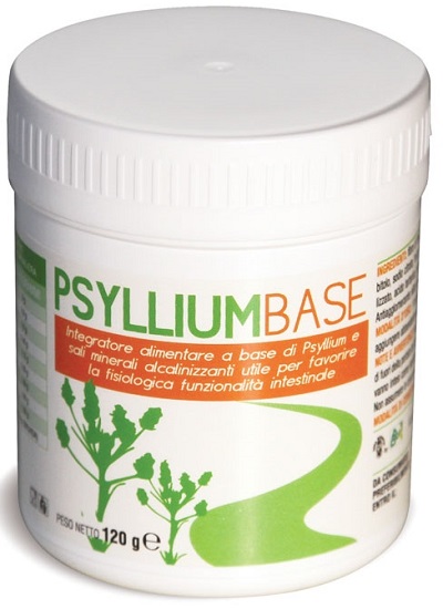 PSYLLIUM BASE POLVERE 120G