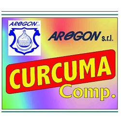 CURCUMA COMP 60CPS 500MG