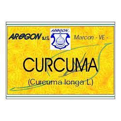 CURCUMA 60CPS 500MG