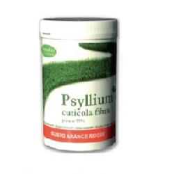 PSYLLIUM FIBRA ETP BAR 170G