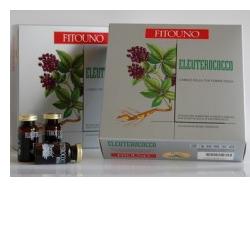 ELEUTEROCOCCO LIQ 200ML