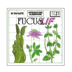 FUCUS LIF 50TAV