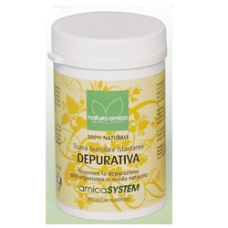 TISANA DEPURATIVA ISTANT 100G