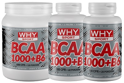 WHYSPORT BCAA 1000+B6 100CPR