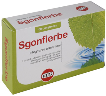 SGONFIERBE 60CPR