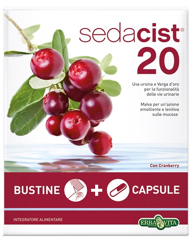 SEDACIST 20 KIT