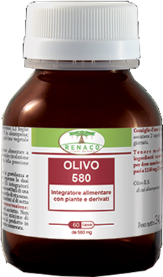 OLIVO 580 60CPS