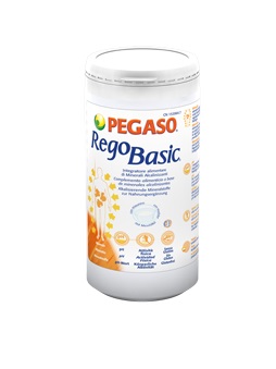 REGOBASIC POLVERE 250G