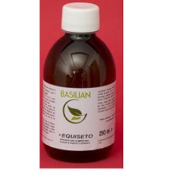 E'EQUISETO 250ML