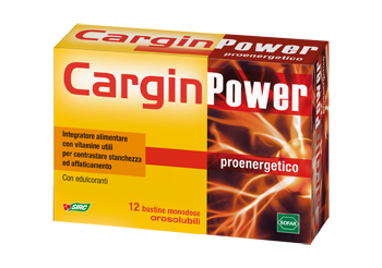 CARGIN POWER 12BUST